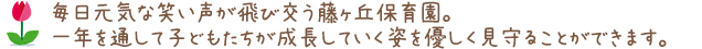 毎日元気な笑い声が飛び交う藤ヶ丘保育園。一年を通して子どもたちが成長していく姿を優しく見守ることができます。